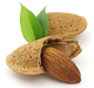 bigstock-Almond-18499610 sml.jpg