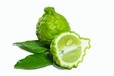 bigstock-Bergamot-54030445 Sml.jpg